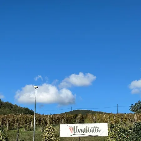 Farm stay Uvamatta *