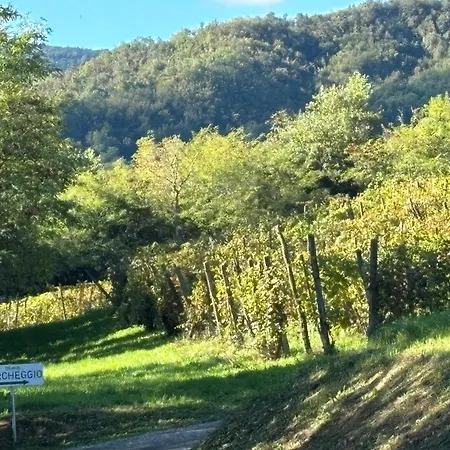 Uvamatta *