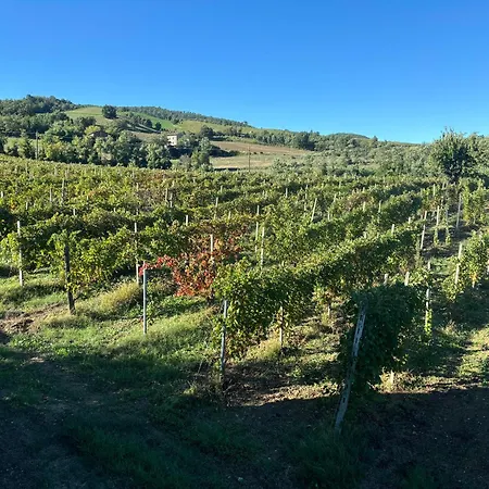 Alloggio per agriturismo Uvamatta