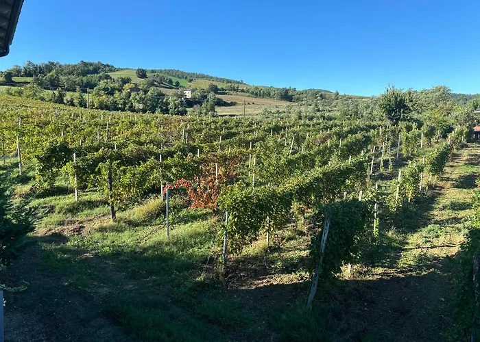 Vakantieboerderij Uvamatta