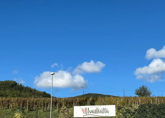 Alojamento de Turismo Rural Uvamatta *