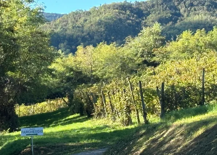 Uvamatta *